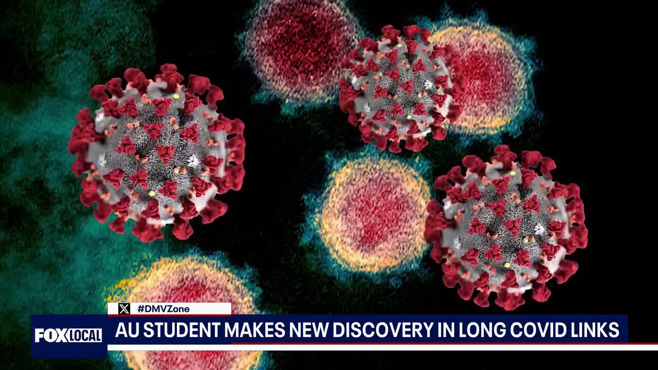 AU student uncovers potential link in long COVID symptoms