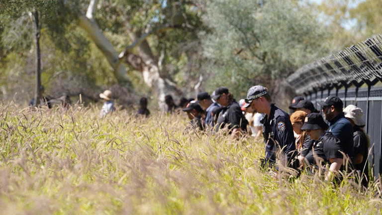 Police and volunteers have been conducting on-foot line searches for Sharon Granites. (ABC News: Will Green)