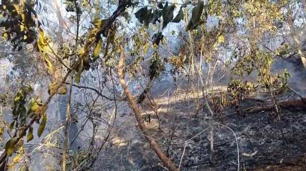 Incêndio causado por balão na Floresta da Tijuca dura mais de 24 horas ...