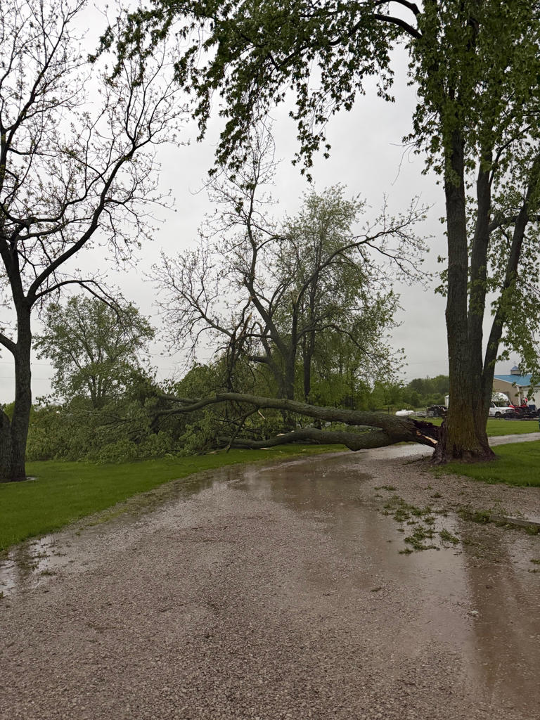 Photos: Damage left behind after storms roll through Kansas City metro