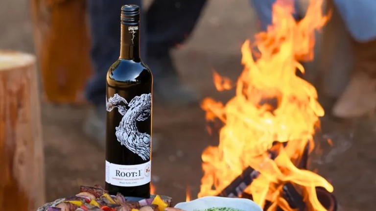 11 best cabernet sauvignon bottles under $15