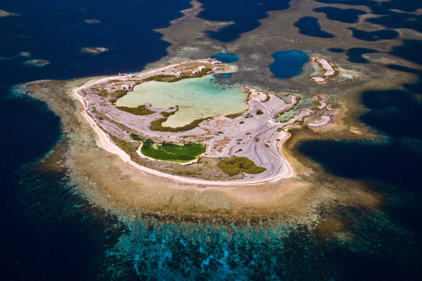 Coral reefs on a remote archipelago shrugged off a massive heatwave