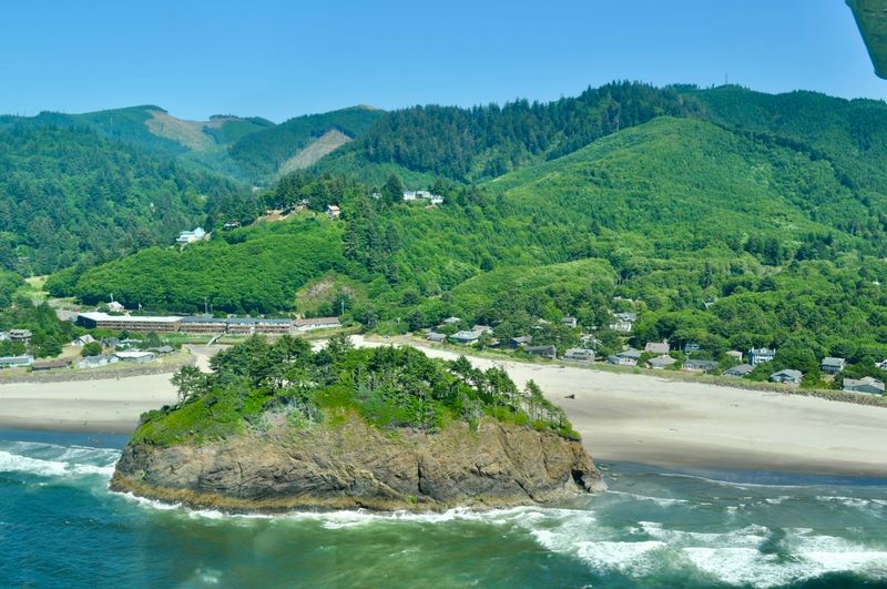 Oregon’s “Ghost Forest” beach is the best place to do absolutely nothing