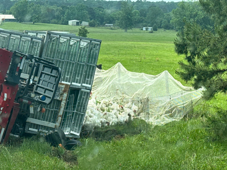 Chickens on the run after tractor-trailer crash in Smith County