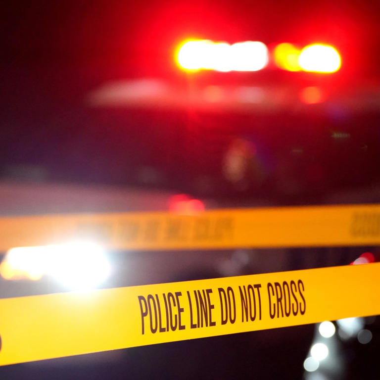 Maniac in white Mercedes Sprinter van randomly attacks 5 strangers in ...