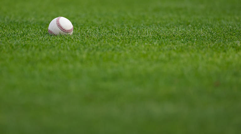 The Chicago Snowballs will cancel their debut this weekend, officials say