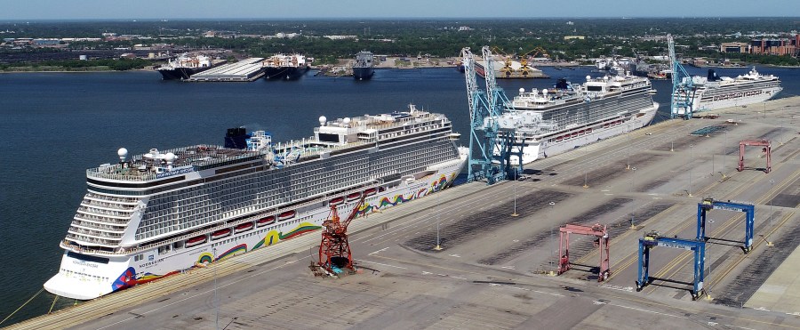 Search for missing Norwegian Cruise Line member suspended