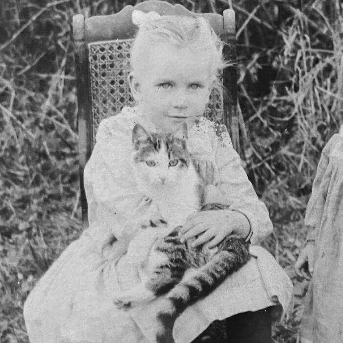 98 historical photos that might change your perspective on cats