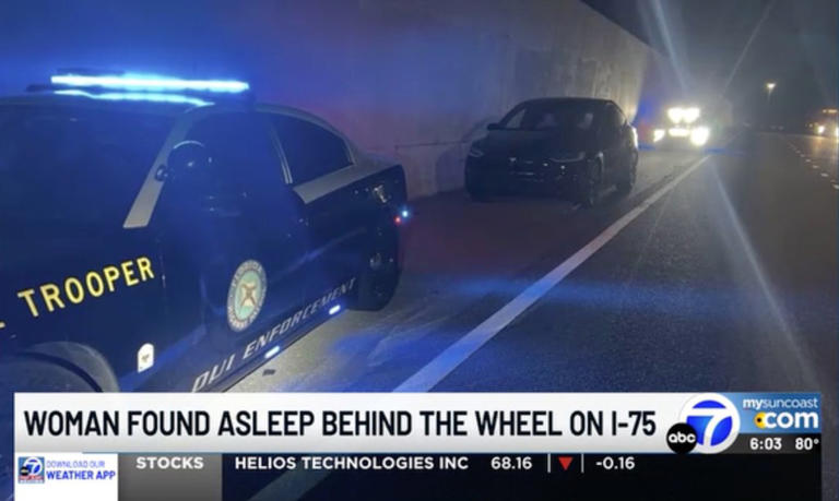 Plastered driver found asleep in Tesla using autopilot — in the middle ...