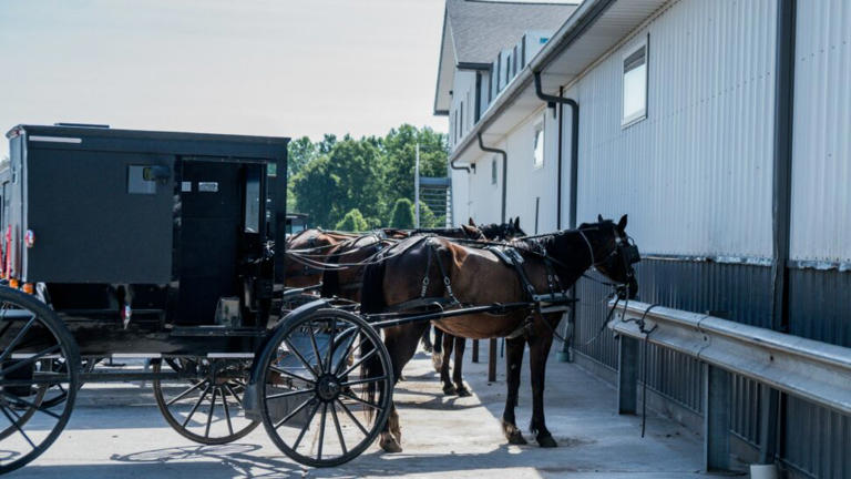 Weekend trips in Indiana: Lowkey getaways that hit different
