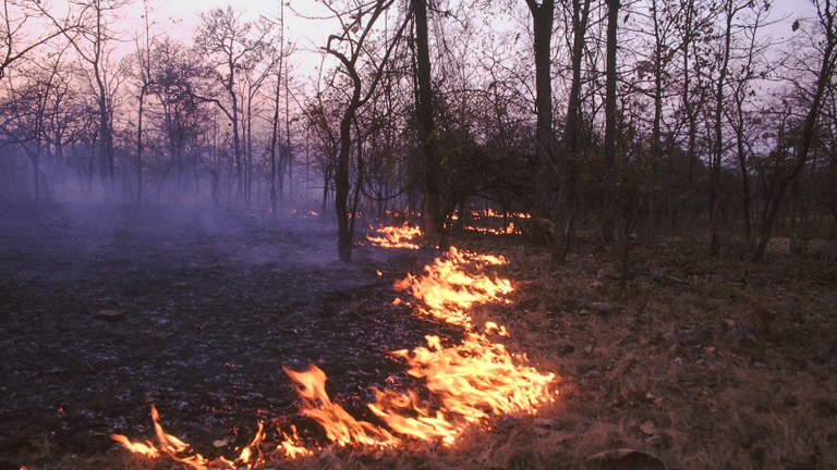 Simi Valley fire: Brush blaze erupts near Reagan Library