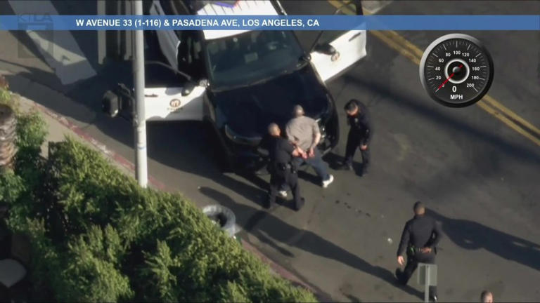 Suspect in custody after bizarre LA police chase