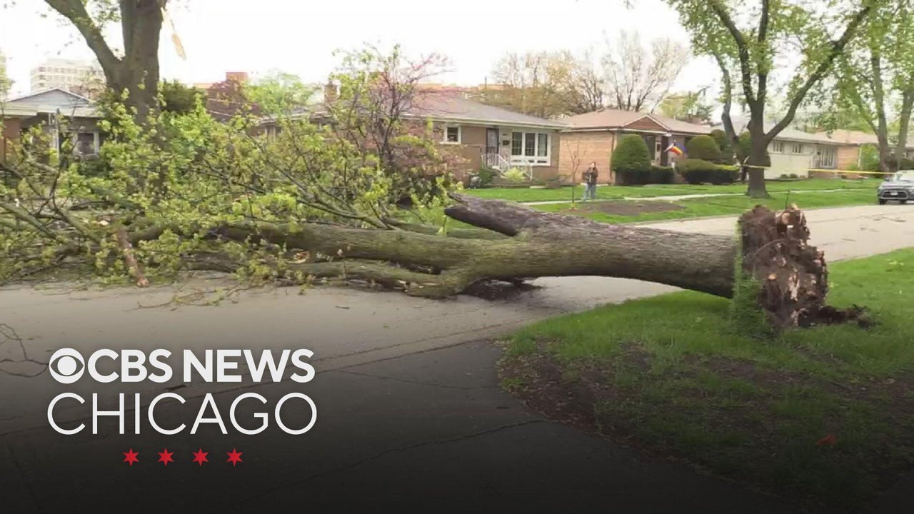 High wind warning for parts of Chicago area, downed trees and power ...
