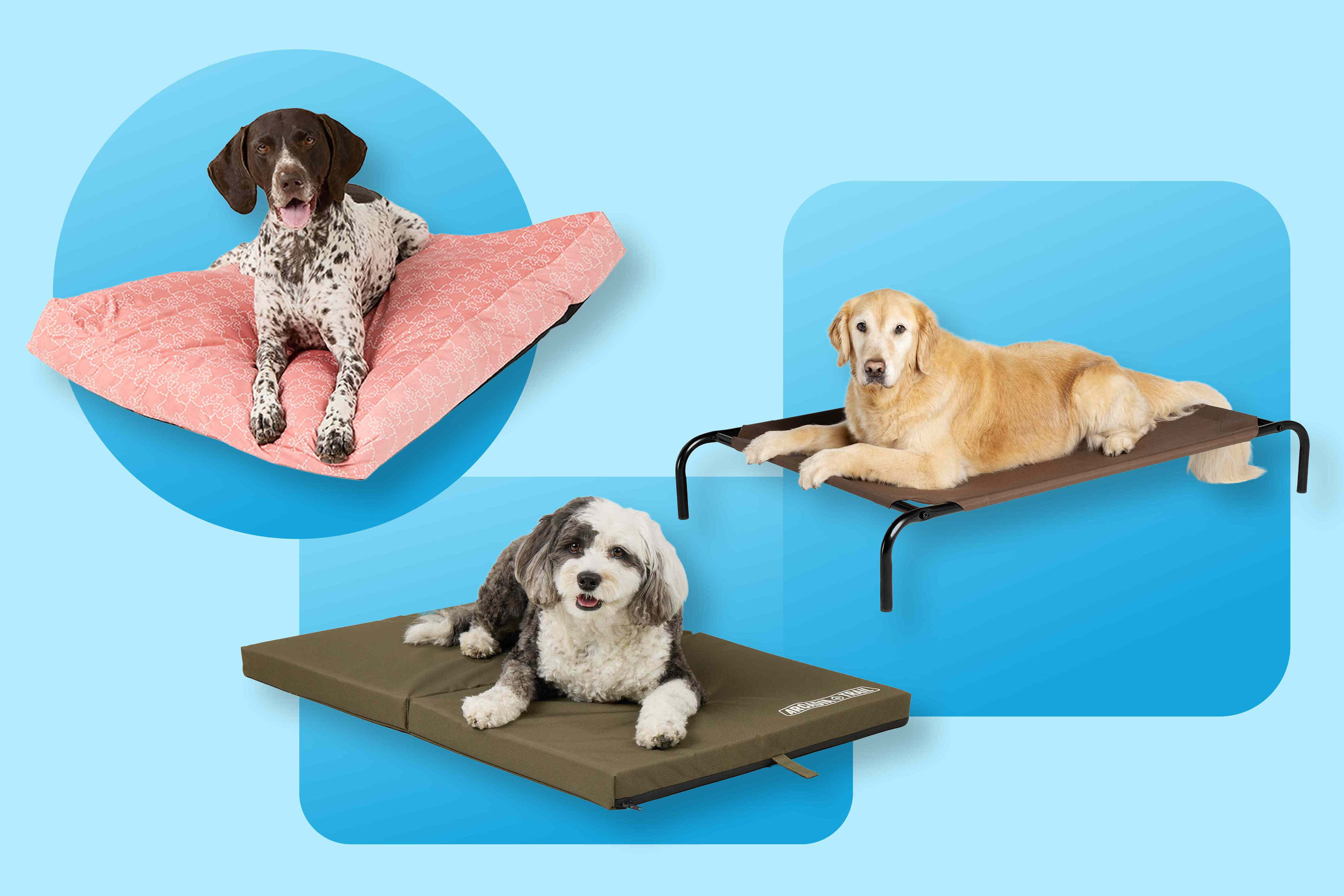 PetSmart is having a huge sale on dog beds — shop cooling, orthopedic ...