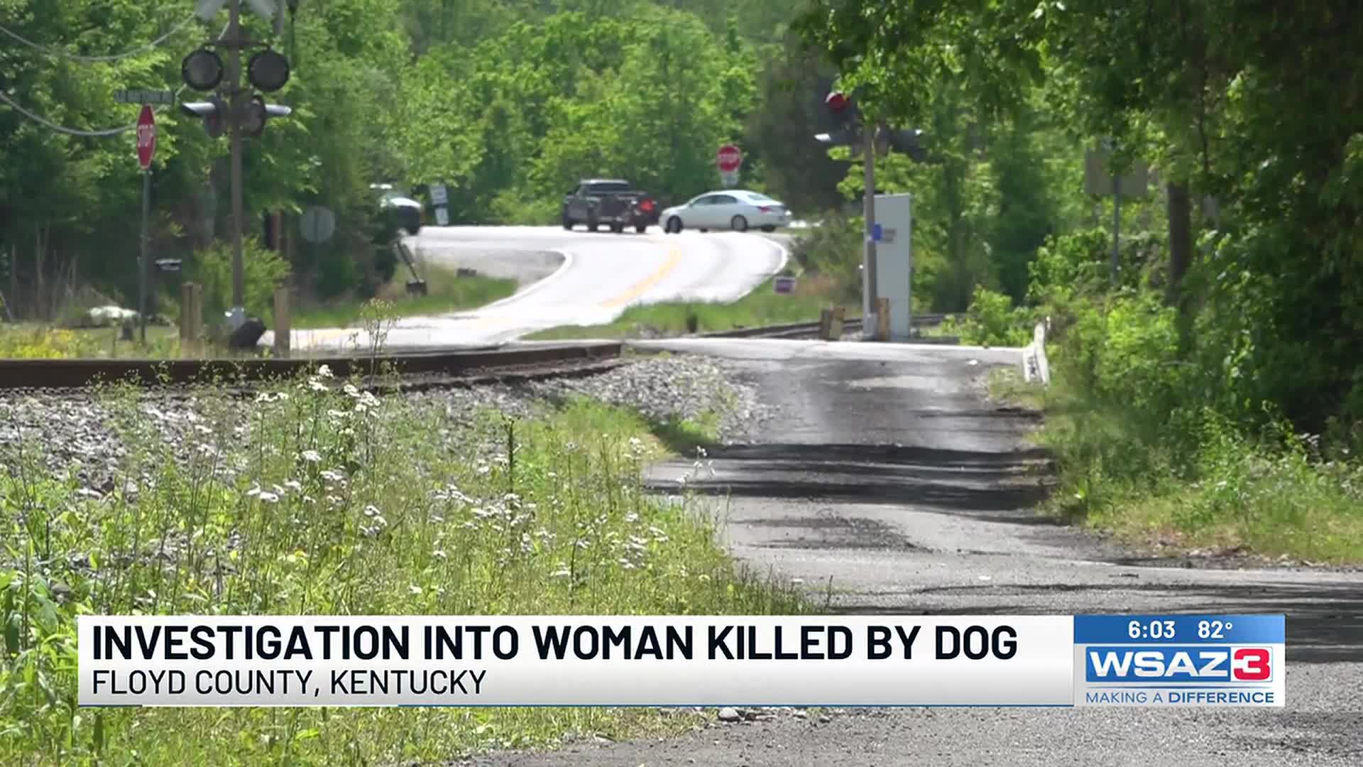 Deputies: Woman dies after dog attack