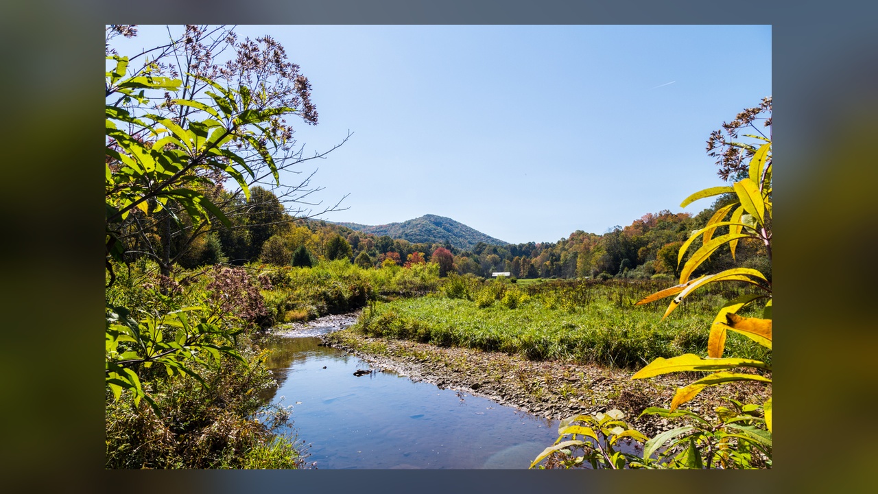 Why does a Virginia town of 8,000 people pull in 140,000 visitors a ...