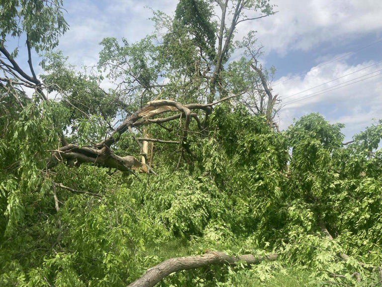 Early-morning storm walloped this corner of Johnson County. 