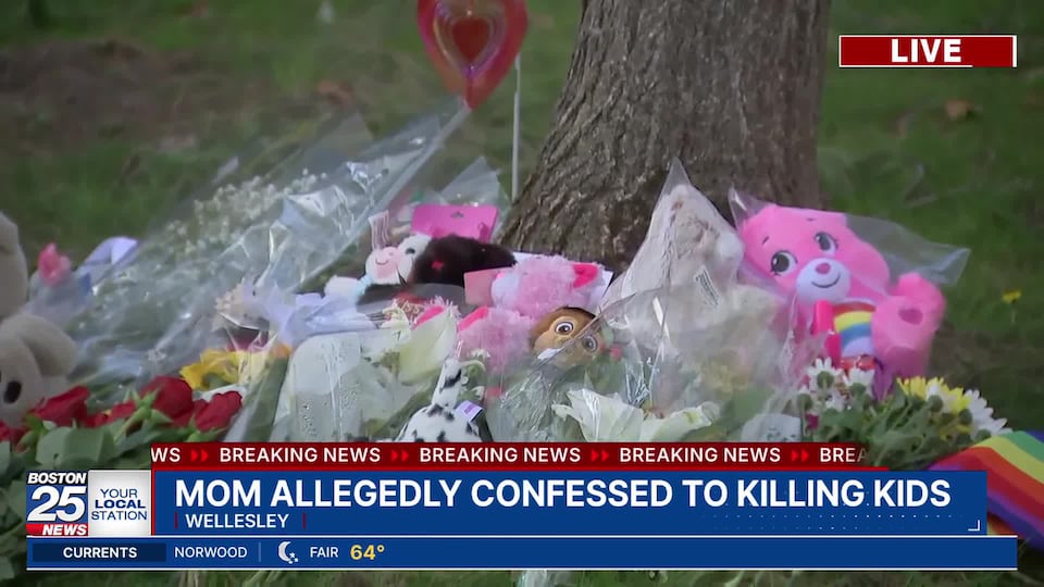 Wellesley mother accused of killing children confessed to strangling ...