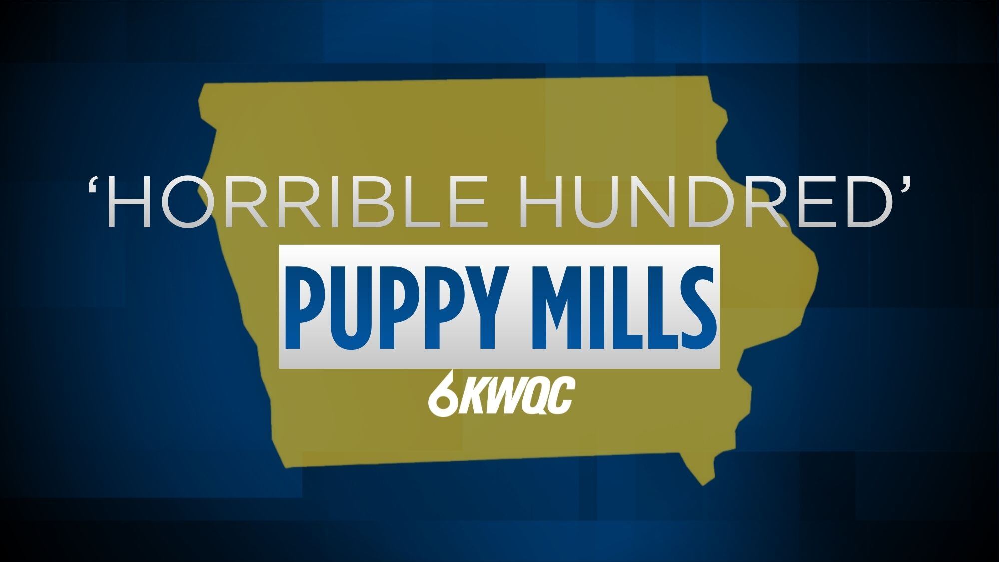 Five Iowa dog breeders listed among this year’s 'Horrible Hundred ...