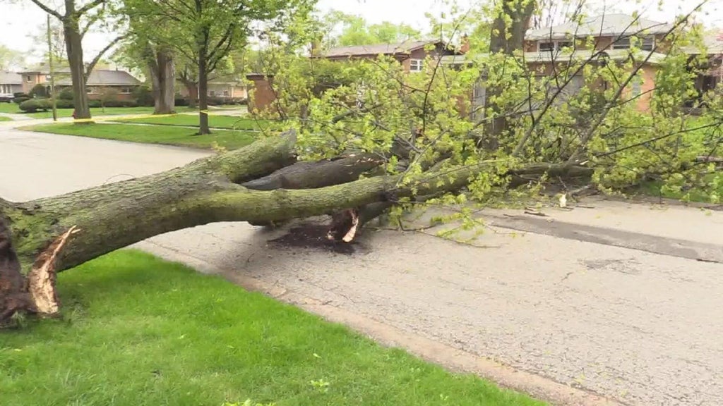 High winds gusting over 60 mph cause Chicago area damage, power outage as possibly severe storms approach