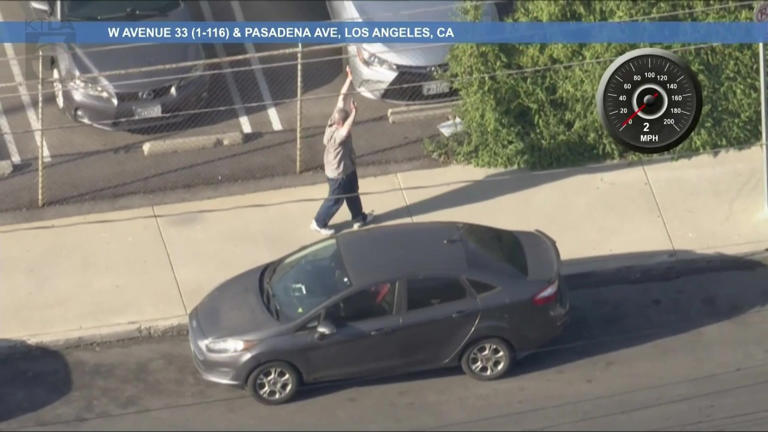 Suspect in custody after bizarre LA police chase