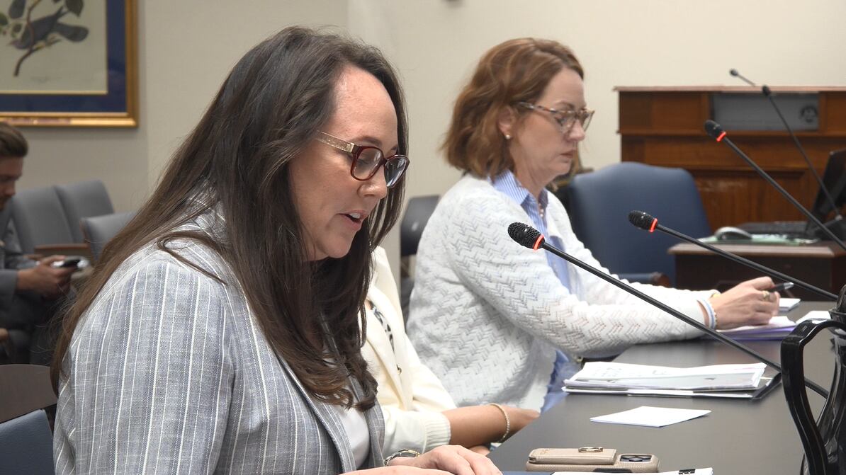 DCFS faces scrutiny over policy lapses, whistleblower breach(02)