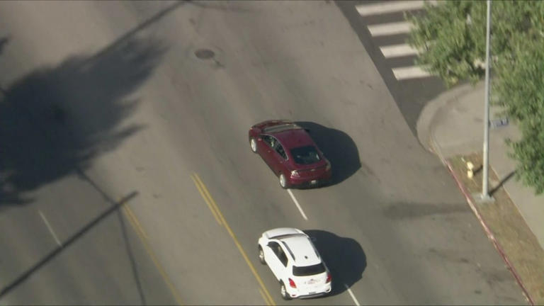 Suspect in custody after bizarre LA police chase