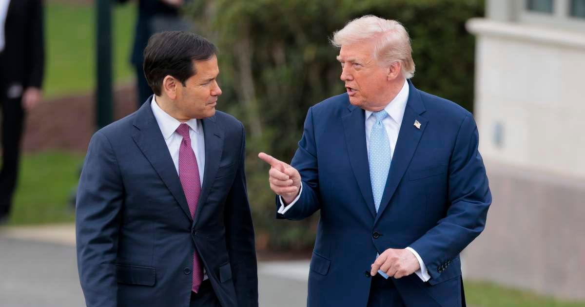 Trump releasing WHCD suspect video helps 'tamp down' conspiracy ...