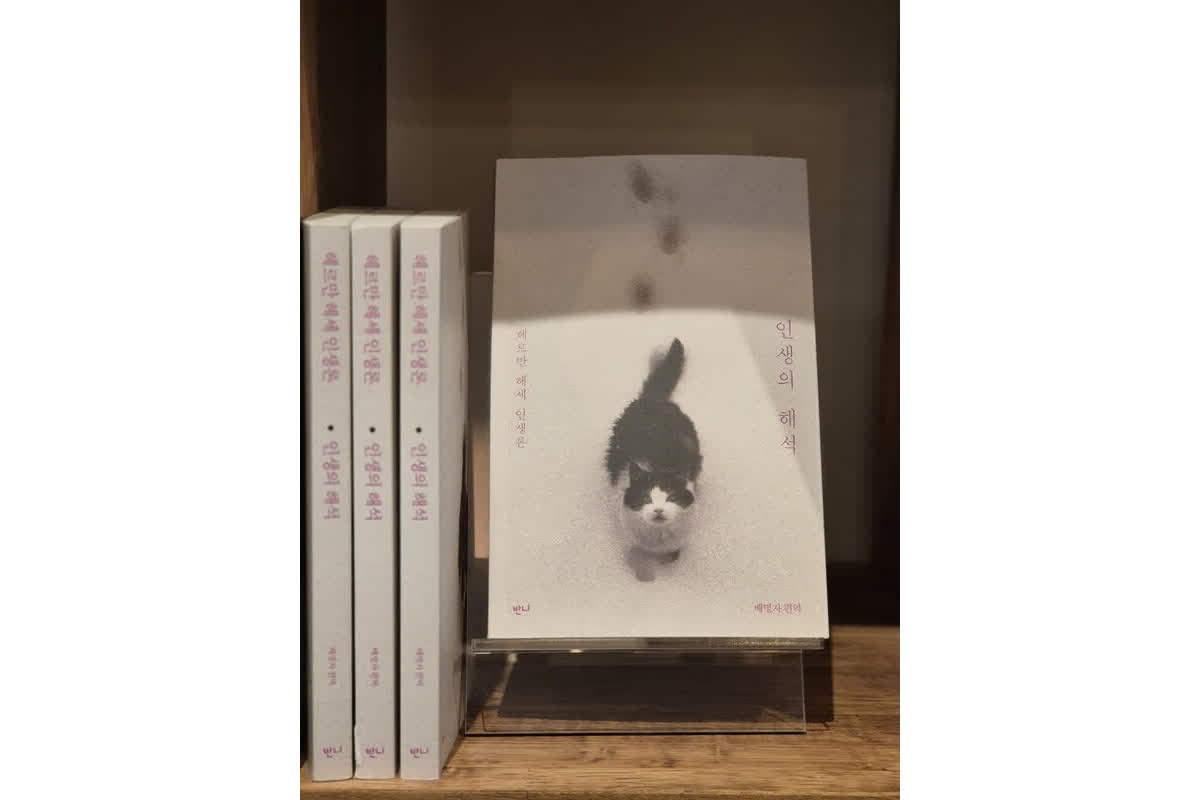 타인의 기준으로 살고 있지 않은가, 헤세가 던지는 질문