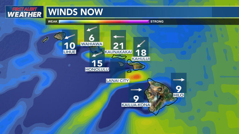 First alert forecast: Breezy winds with passing trade wind showers this ...