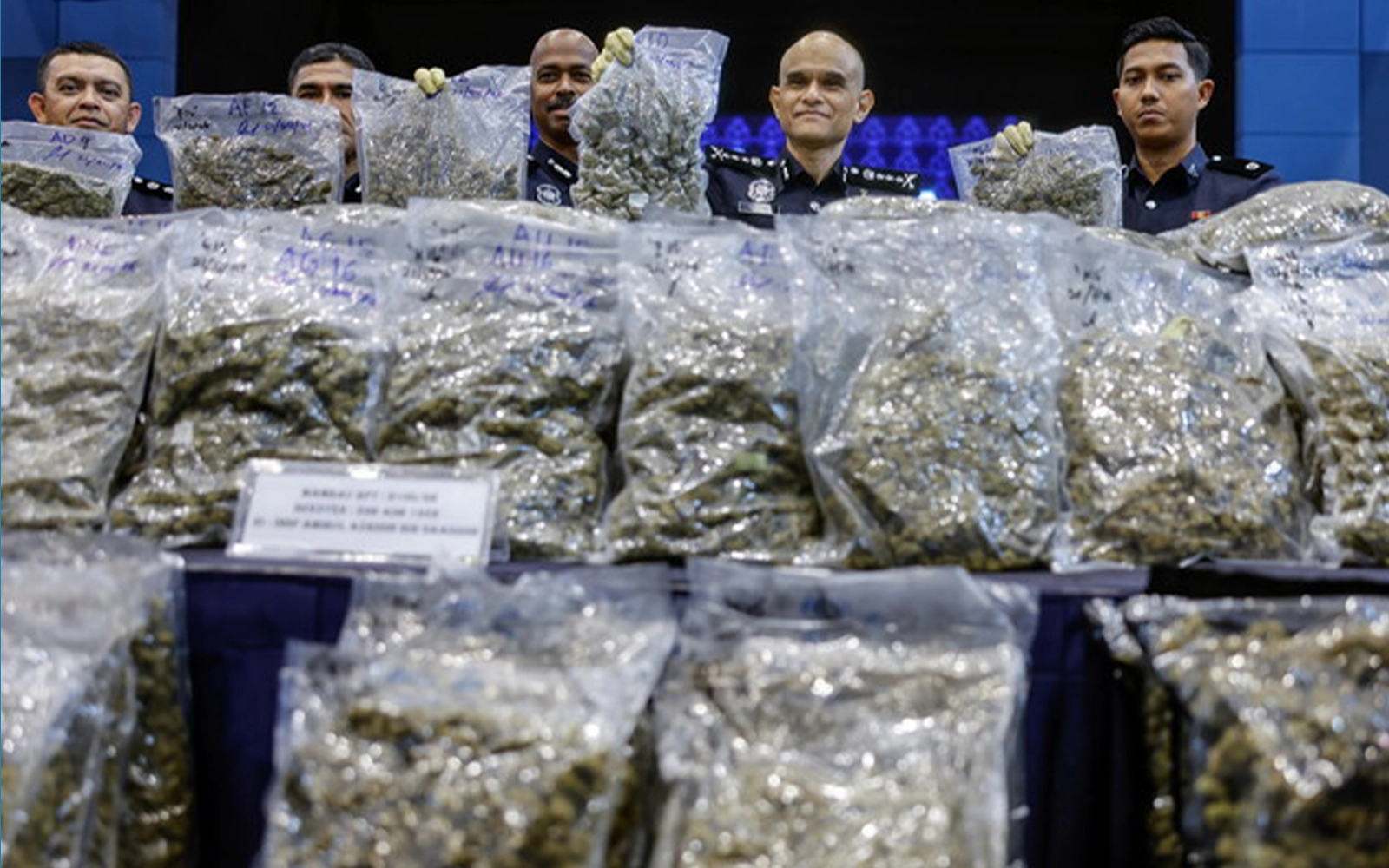 2 nabbed in RM14.7mil cannabis bust, international rings crippled