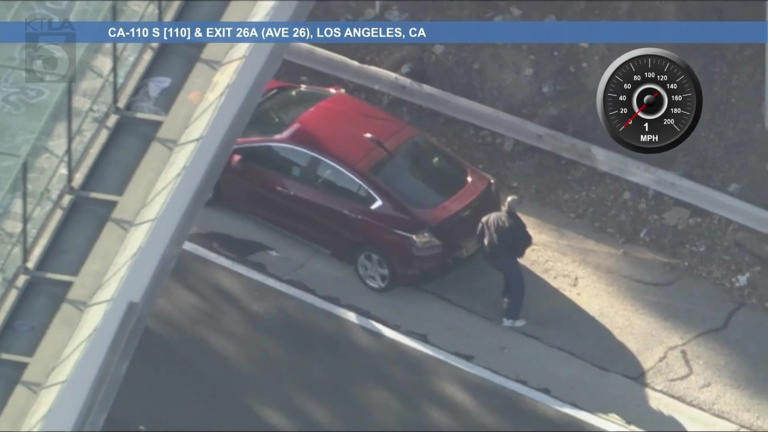Suspect in custody after bizarre LA police chase