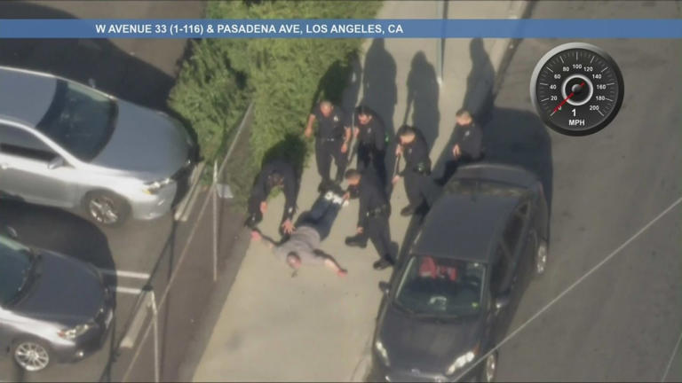 Suspect in custody after bizarre LA police chase