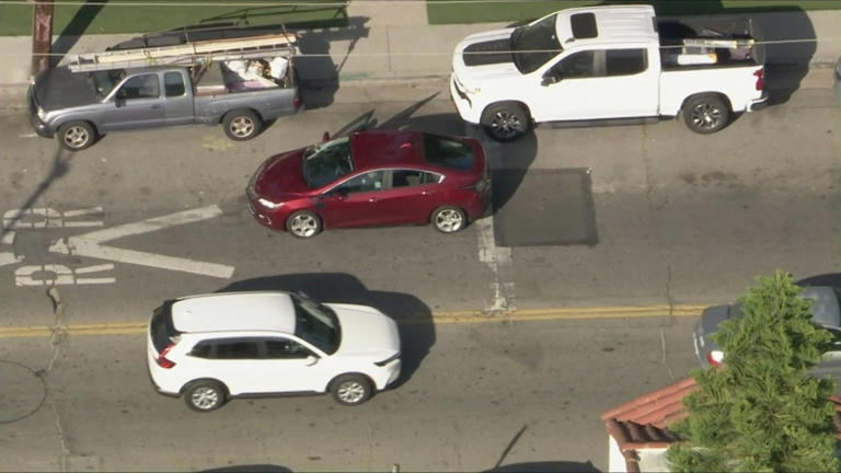 Suspect in custody after bizarre LA police chase