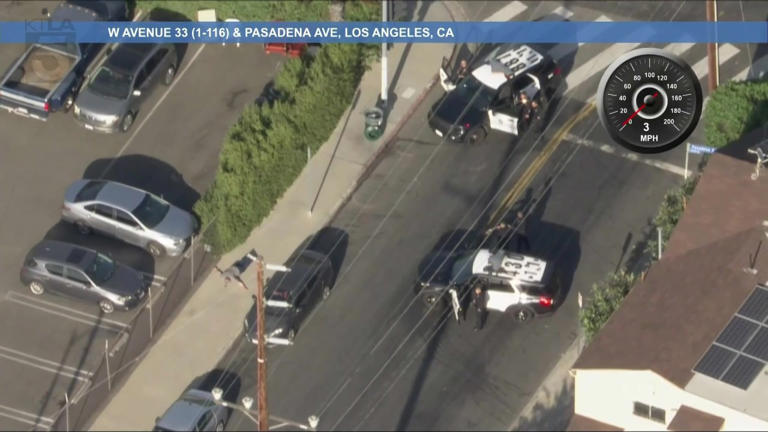 Suspect in custody after bizarre LA police chase