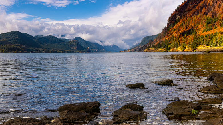 Washington's scenic state park in the Columbia River Gorge is the ...