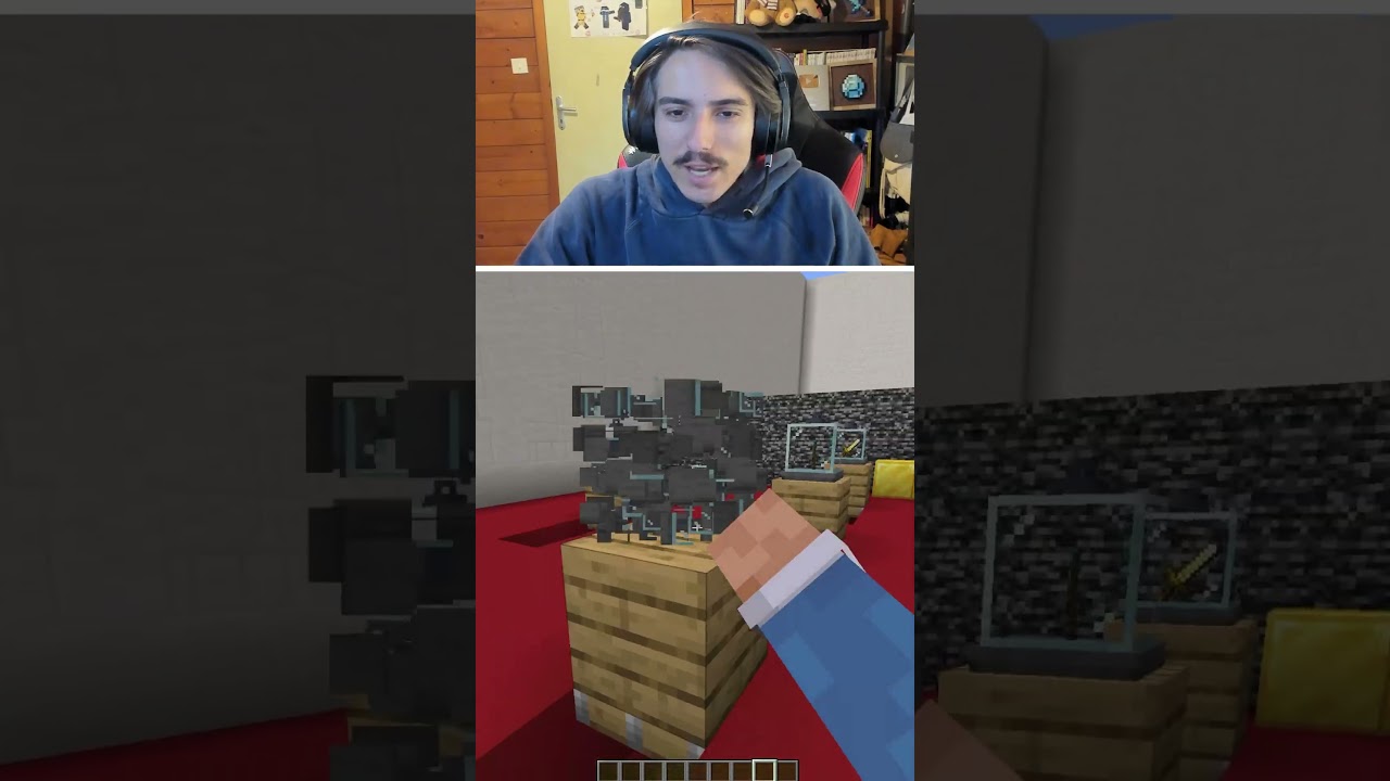QUI-EST-CE Minecraft avec ma Petite Soeur ! #minecraft #shorts