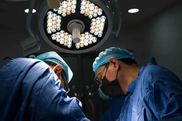 Lavori più pagati in Italia: le professioni meglio retribuite e quelle ...