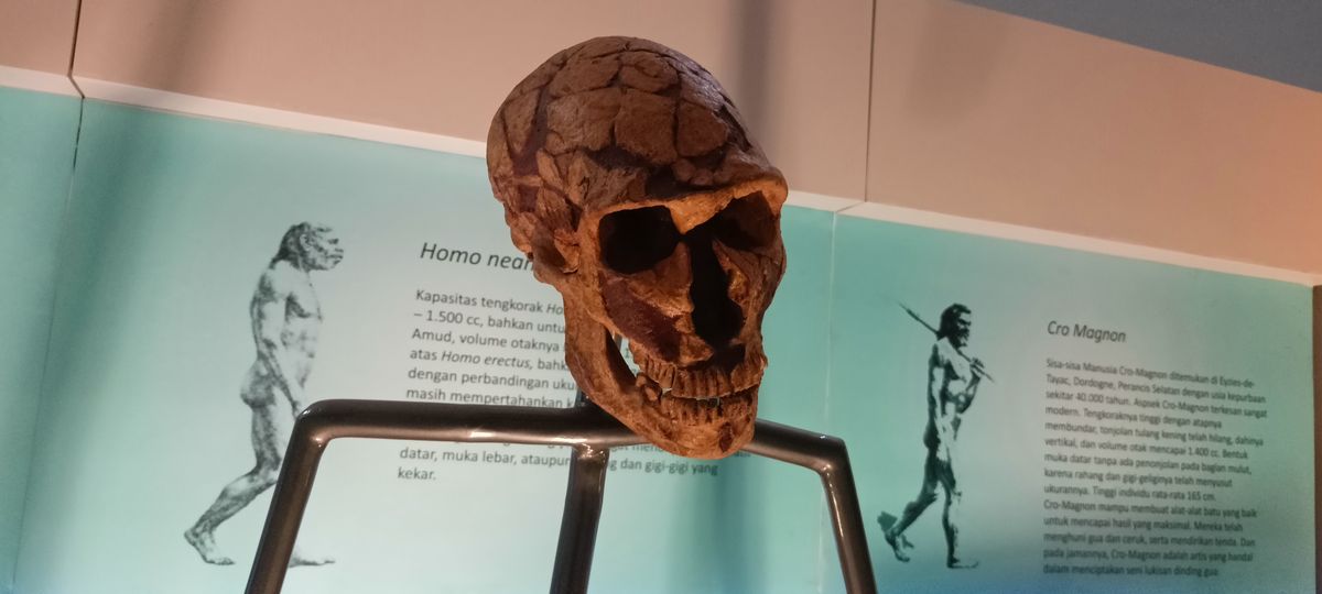 Neanderthals were likely just as smart as us, so their extinction ...