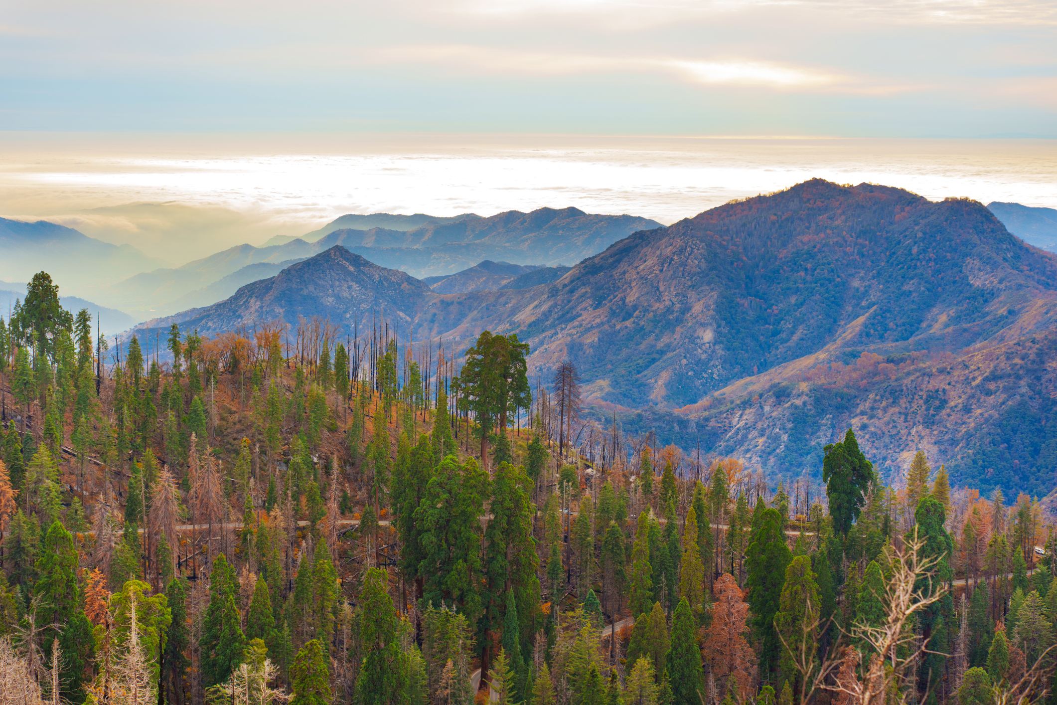 Climber survives 500-foot fall in Sierras
