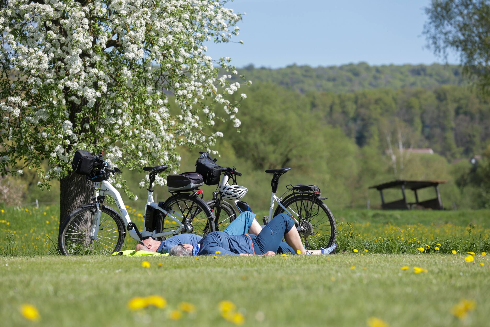 Bis zu 26 Grad: So wird das Wetter am langen Mai-Wochenende