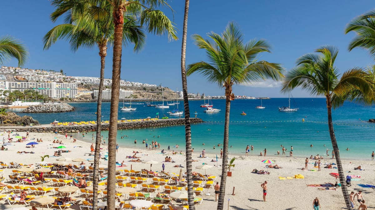 Von den Kanaren nach Hamburg: 