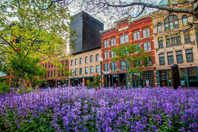 This is America's 'mile-high city'—and it has 70+ breweries, easy ...