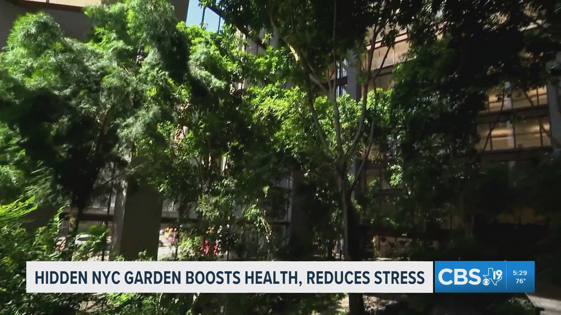 Hidden garden inside New York atrium offers urban oasis, study shows ...