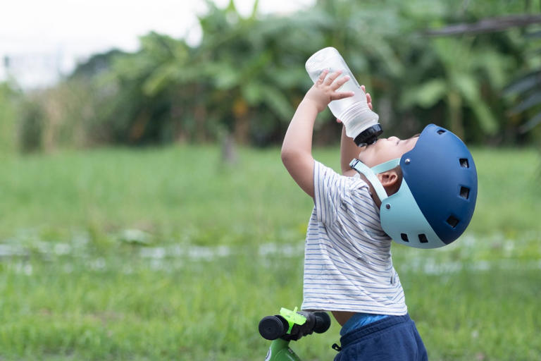Toxic ‘forever chemicals’ linked to childhood leukemia