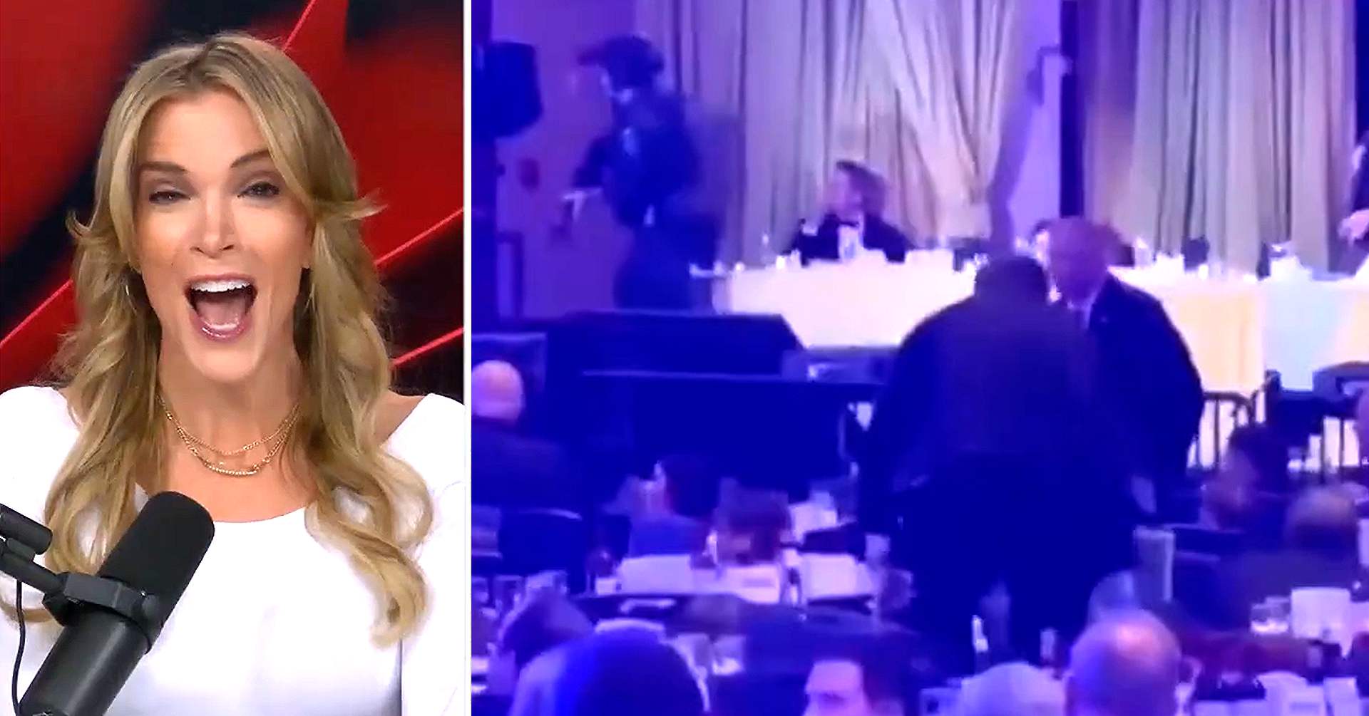 Megyn Kelly mocks ‘dramatic’ journos for traumatized Trump-WHCD ...
