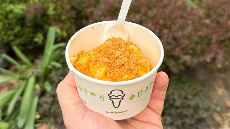 Review: Shake Shack wins BBQ season with a real-deal boneless rib ...