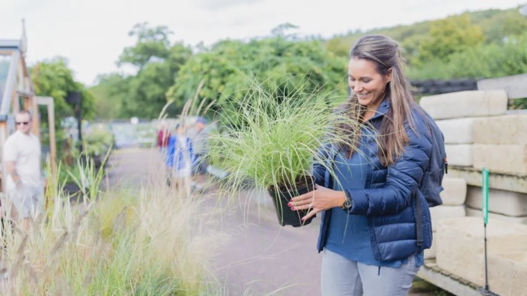 Why it’s a mistake to replace dead plants immediately