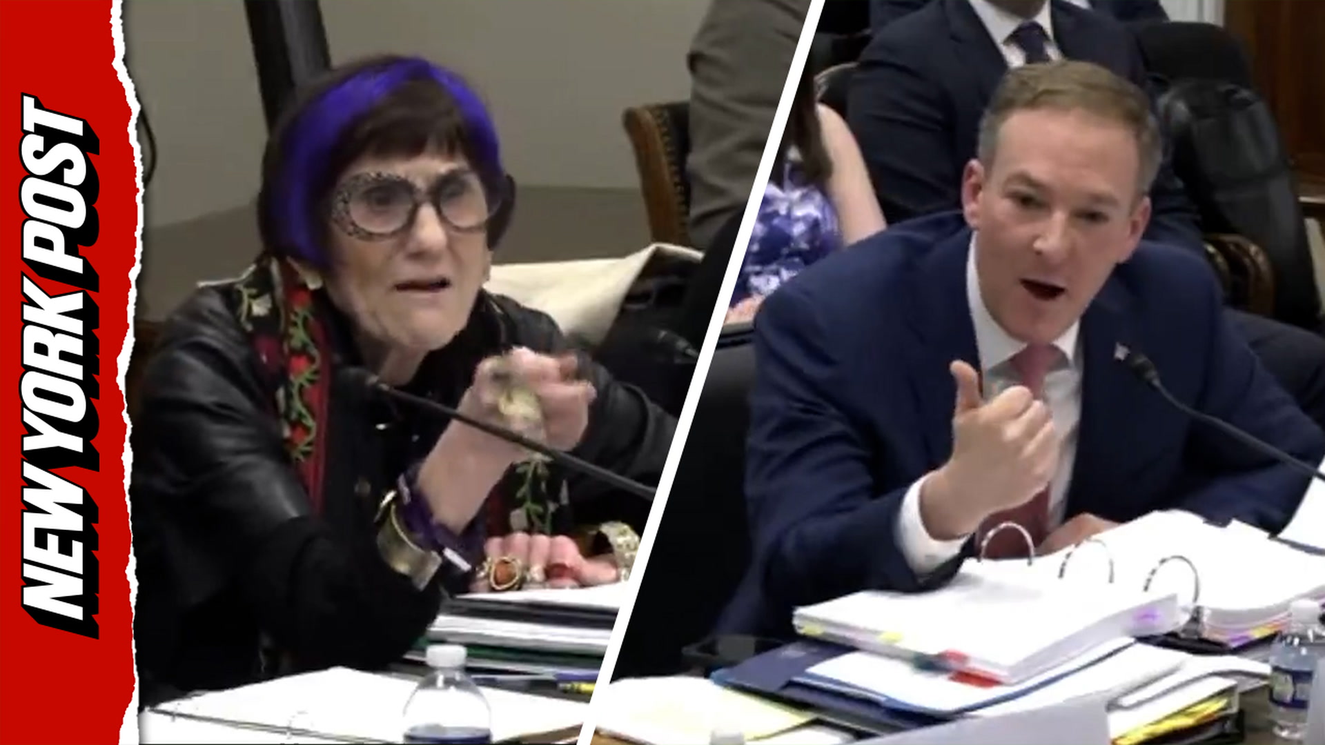 Zeldin rips 'uninformed' Democrat after heated weed killer exchange