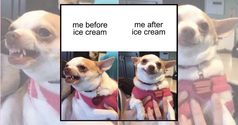 30+ ice cream memes to melt your bad mood away one scoop at a time